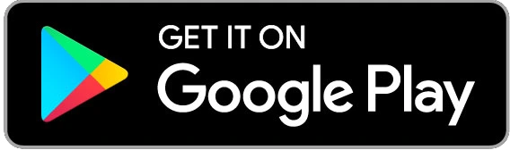 system-google-play